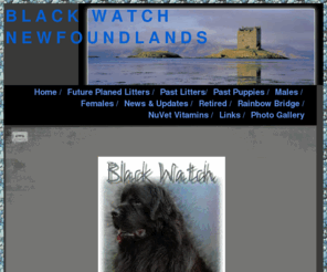 blackwatchnewfoundland.net: Home / - BLACK  WATCH
NEWFOUNDLANDS
Black Watch Newfoundlands