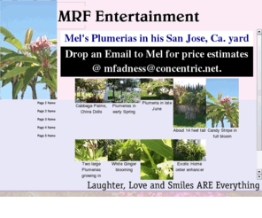 plumeriastore.com: Home page
The only home grown Plumerias in Northeran California, together with Garden Ornaments and pedal push Airplanes for your Children or Grandchildren