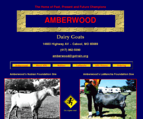 amberwooddairygoats.com: Amberwood Dairy Goats: Home of Past, Present and Future Champions
