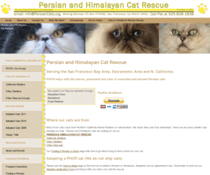 persiancats.org: Persian and Himalayan Cat Rescue
Persian and Himalayan Cat Rescue (PHCR). Helping with the placement and care of unwanted and abused Persian cats since 1990