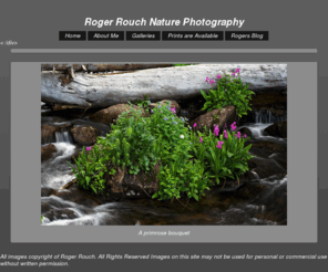 rouchnaturephotos.com: Roger Rouch Nature Photography | SmugMug
