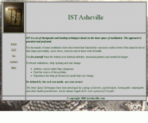 istasheville.com: IST Asheville
