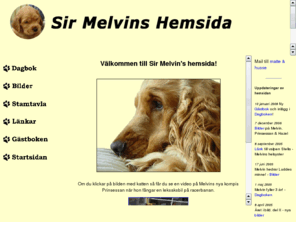 sirmelvin.com: Välkommen till Sir Melvin!
Sir Melvin, en liten Cocker Spaniel