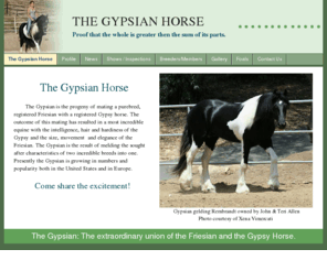 gypsians.com: The Gypsian Horse
The Friesian X Gypsy Horse Emerges as a new breed known as the Gypsian.