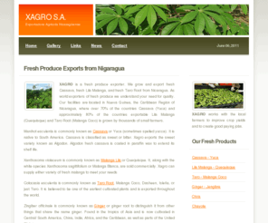 xagrosa.com: XAGRO - Fresh Produce Exports From Nicaragua
XAGRO exports Fresh Cassava, Fresh Malanga, and Fresh Taro Root along with other fresh produce exports from Nicaragua