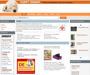 puppytekoop.nl: Puppies door top fokkers - Advertenties  Puppy te Koop
pups, puppies,  puppy, tekoop aanbieden, op puppy bieden kennels hun pups aan, nest nestje klein kleine kleintje kleintjes Belgie Nederland honden tekoop, puppies aanbieden uw puppy aanbieden, puppies zoeken, je vind het allemaal op puppytekoop.nl