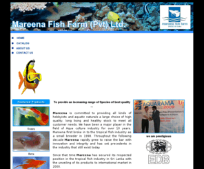 mareenafishfarm.com: :::: Mareena Fish Farm ::::
mareen is commited to providing all kind of habbyists, Aquatic naturals, a choice of high quality, long live healthy with mass customer needs
