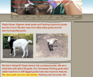 playfulacres.com: Home - Fainting goats and nigerian dwarf goats located in Texas.
At Playful acres we raise both nigerian and fainting goats in texas. We are close to the lousiana border. Will have kids for sale in the spring.