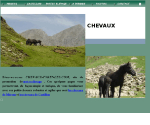 chevaux-pyrenees.com: Accueil élevage chevaux
Un élevage de chevaux de Mérens et de Castillon au coeur des Pyrénées