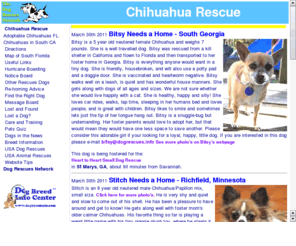 chi-rescue.com: Chihuahua Rescue Florida
Chihuahua Rescue Florida is a resource to assist in the adoption of unwanted and stray Chihuahua and Chihuahua cross dogs to South Florida, Fort Lauderdale, Miami, Palm Beach, USA.