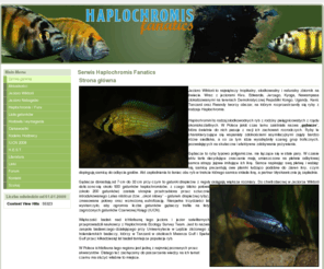 haplochromis.pl: Serwis Haplochromis Fanatics
Serwis na temat pielęgnic z Jeziora Wiktorii. Rodzaj Haplochromis - zdjęcia, opisy, najnowsze informacje.