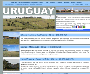 yourhomeinuruguay.com: Your home in Uruguay
Real estate website of Fred Buffin in Rocha, Uruguay