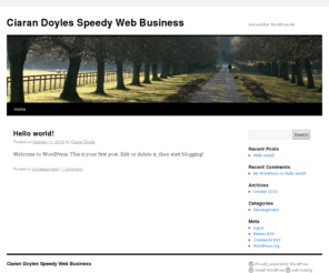 speedywebbusiness.com: Ciaran Doyles Speedy Web Business | Just another WordPress site
