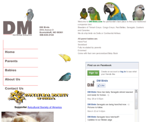 dmbirds.com: DM Birds 308-635-2122
Hand raised and spoiled baby parrots Timneh Greys, Congo Greys, Senegals,
Red Bellies and Canaries