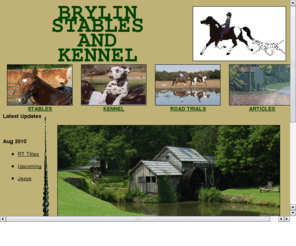 brylinstables.com: BrylinStables and Kennel
this sight includes information on horses, dogs, and coaching. how to buy a horse, what we have for sale, ridding lessons, horse training, breeding program, pictures of our farm. there are also links to other sources of information. and email address to contact us.