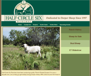 dorper.net: Half Circle Six Ranch
Raising quality Dorper Sheep for over a decade. Ranch consulting services, trophy hunting and exotic game sales.