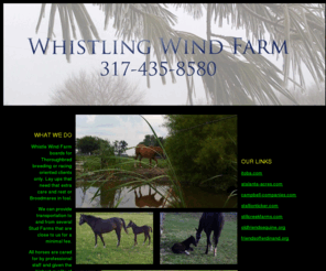 whistlewindfarm.com: www.Whistle Wind Farm - Home Page
Whistle Wind Farm