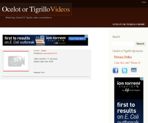 ocelotpress.com: Ocelot Or Tigrillo video compilations | Ocelot or Tigrillo Videos
Ocelot or Tigrillo Videos, Ocelot Or Tigrillo video compilations