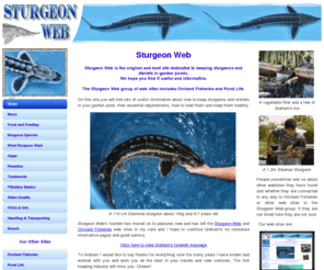 sturgeon-web.co.uk: Sturgeon Web: Sturgeon Web: Home
Water Quality - Sturgeon and Koi specialists. Products include premium sturgeon and koi food. 