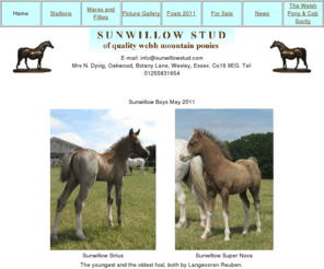 sunwillowstud.com: Sunwillow Stud
Welsh Mountain Ponies bred by the Sunwillow Stud