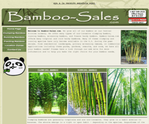 bamboosalesonline.com: Bamboo-Sales.com offers Live Bamboo Plants, screening bamboo plants, clumping bamboo plants, and big timber bamboo
Bamboo for sale by Bamboo sales.com. Buy running, screening, timber, black, and big bamboo from our Central Florida nursery. We also offer ornamental grasses, bamboo screen, cold hardy bamboo and much more