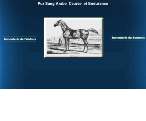 jumenteriedubournais.com: l Ardoux, le Bournais
elevage pur sang arabe course et endurance patrick mandille