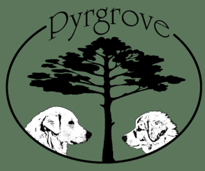 pyrgrove.com: Pyrgrove, Pyrenean Mountain Dogs
Pyrenean Mountain Dogs