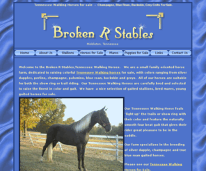 brokenrstables.com: Tennessee Walking Horses for sale, Silver Dapples TWH gaited horses and small breed puppies  Broken R Stables in TN.
Tennesse Walking horses gaited horses for sale and small tiny dogs for sale at Broken R Stables TN.