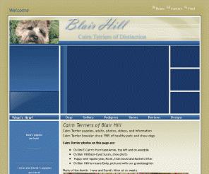 blairhill.net: Cairn Terriers of Blair Hill
Cairn Terrier breeder in Minnesota offers puppies show and pets