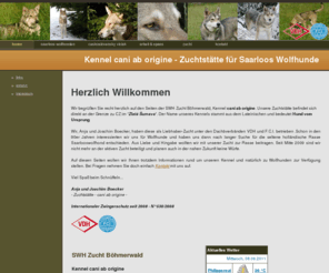 wolfhonden.com: home - Saarlooswolfhundezucht Böhmerwald - Kennel cani ab origine
saarloos wolfhonden kennel, swhzb, saarloos ab origine, cani ab origine, zuchtstaette von saarlooswolfhonden, hund vom ursprung, 94158 philippsreut, bayerischer wald, nationalpark bayerischer wald, de