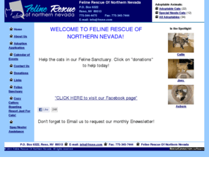 fronn.com: Feline Rescue Of Northern Nevada: Animal rescue, adoption and rehoming
Animal rescue, adoption and rehoming