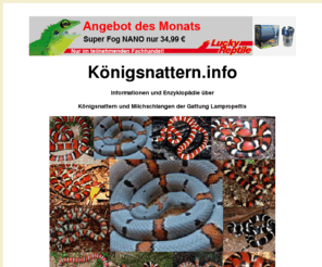 xn--knigsnattern-4ib.info: Königsnattern.info eine Seite über die Königsnatter - Lampropeltis
königsnattern.info die Seite über Königsnattern - Haltung,Vermehrung,Zucht,Krankheiten,Arten - alterna,blairi,getula,californiae,mexicana,greeri,thayeri,pyromelana,zonata,triangulum,campbelli,hondurensis,sinaloae,hypo,hypomelanistisch,honduran 