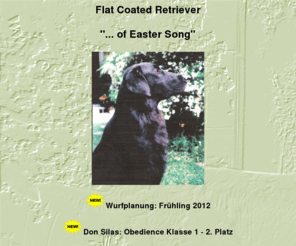 of-easter-song.de: Flat Coated Retriever ...of Easter Song
