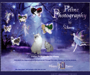 felinephotographer.com: Feline Photography by Sherry
Feline Photography by Sherry - Cat Photos - Show Cat Photos- Show Photography