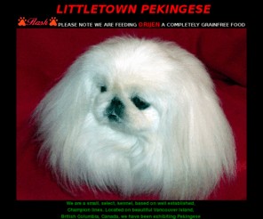 littletownpekingese.com: index
pictures stories and poems of champion pekingese dogs