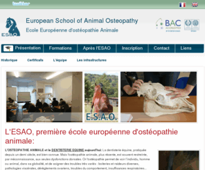 the-esao.eu: Ecole d'ostéopathie équine
ESAO - European School of Animal Osteopathy