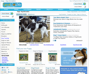 greatdogsite.com: Dogs - Dog Information - Dog Breeds, Pictures and Q&A for over 700 Dog Breeds
             | 
         GreatDogSite.com
Providing Dog Information, Pictures, Q & A and Reviews for 700+ Dogs. Directory of Breeders and Shelters with Dogs and Puppies for Sale.