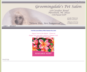 groomingdalesofhavelock.com: HOME
