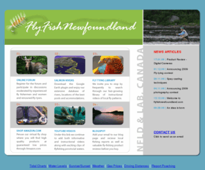 overstockflies.com: flyfishnewfoundland.com
text/html; charset=iso-8859-1