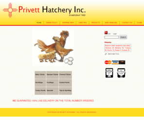 privetthatchery.com: 
