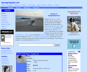 springerspaniel.com: Springer Spaniel.com
The place for English Springer Spaniel owners and prospective
	buyers.  Find information on our favorite dog breed.  Pictures, History, Care Tips, and more inside!