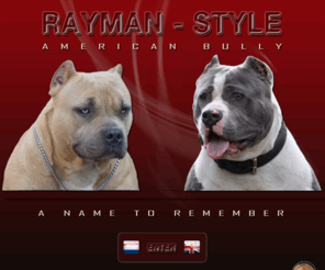 rayman-stylebullys.com: RAYMAN STYLE
