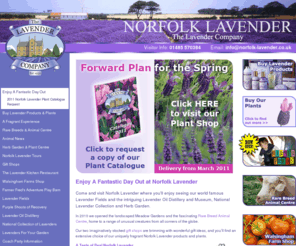 norfolk-lavender-shop.com: Enjoy A Fantastic Day Out at Norfolk Lavender
Come and visit Norfolk Lavender where you'll enjoy seeing our world famous Lavender Fields and the intriguing Lavender Oil Distillery and Museum, National Lavender Collection and Herb Garden. 