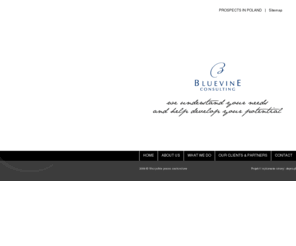 bluevine.pl: Projekty - main
BlueVine