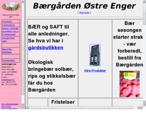 enger.no: Engers oppstartside
