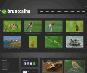 brunocalha.com: Bruno Calha - Nature, Wildlife & Sports Photograpy
Fotografia de Natureza e Desporto | Nature, Wildlife & Sports Photography