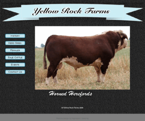 yellowrockfarms.com: Yellow Rock Farms - Horned Herefords -
  Home  Yellow Rock Farms - Horned Herefords