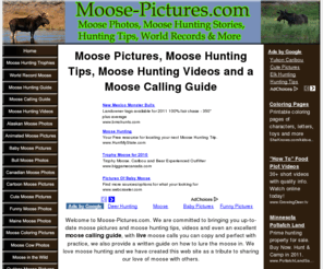 moose-pictures.com: Moose Pictures, Moose Hunting Tips, Moose Hunting Videos, Moose Calling Guide
Moose Pictures, Moose Hunting Tips, Moose Hunting Videos, Moose Calling guide, World Record Moose, Moose Photos