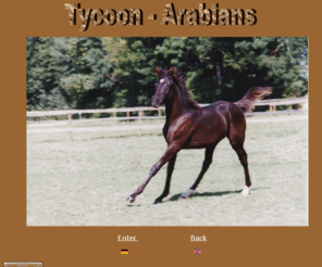 tycoon-arabians.com: Tycoon Arabians
Tycoon Arabians 