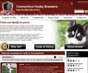 connecticuthuskybreeders.com: Connecticut Husky Breeders.com
Connecticut Husky Breeders.com is a network of respected Siberian Husky breeders and dog lovers devoted to breeding the happiest Siberian Husky puppies possible.